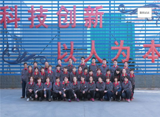 生物质壁炉.png